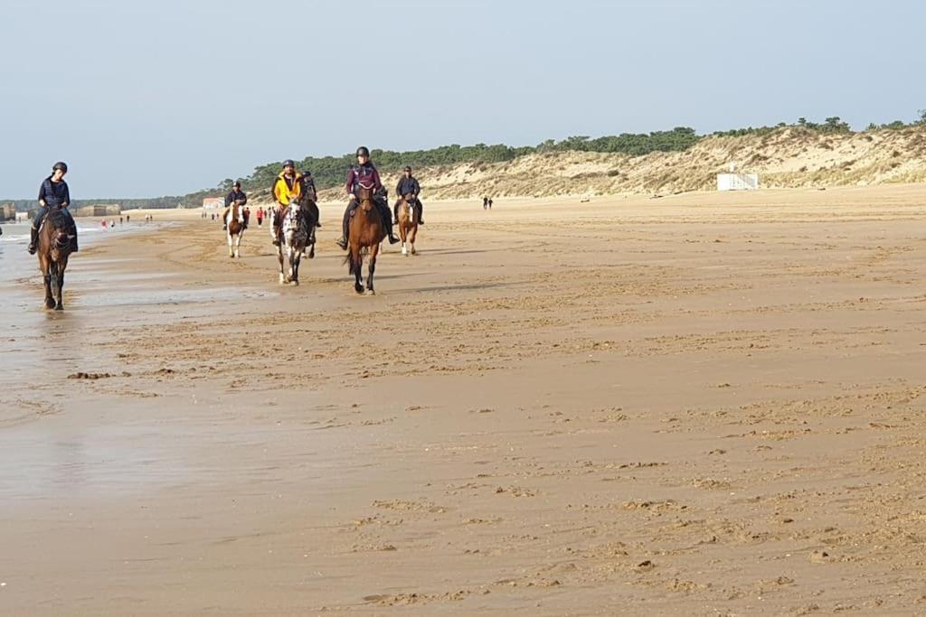 Appartement A 1Km Des Plages Avec 2 Velos Elec Royan Exterior photo